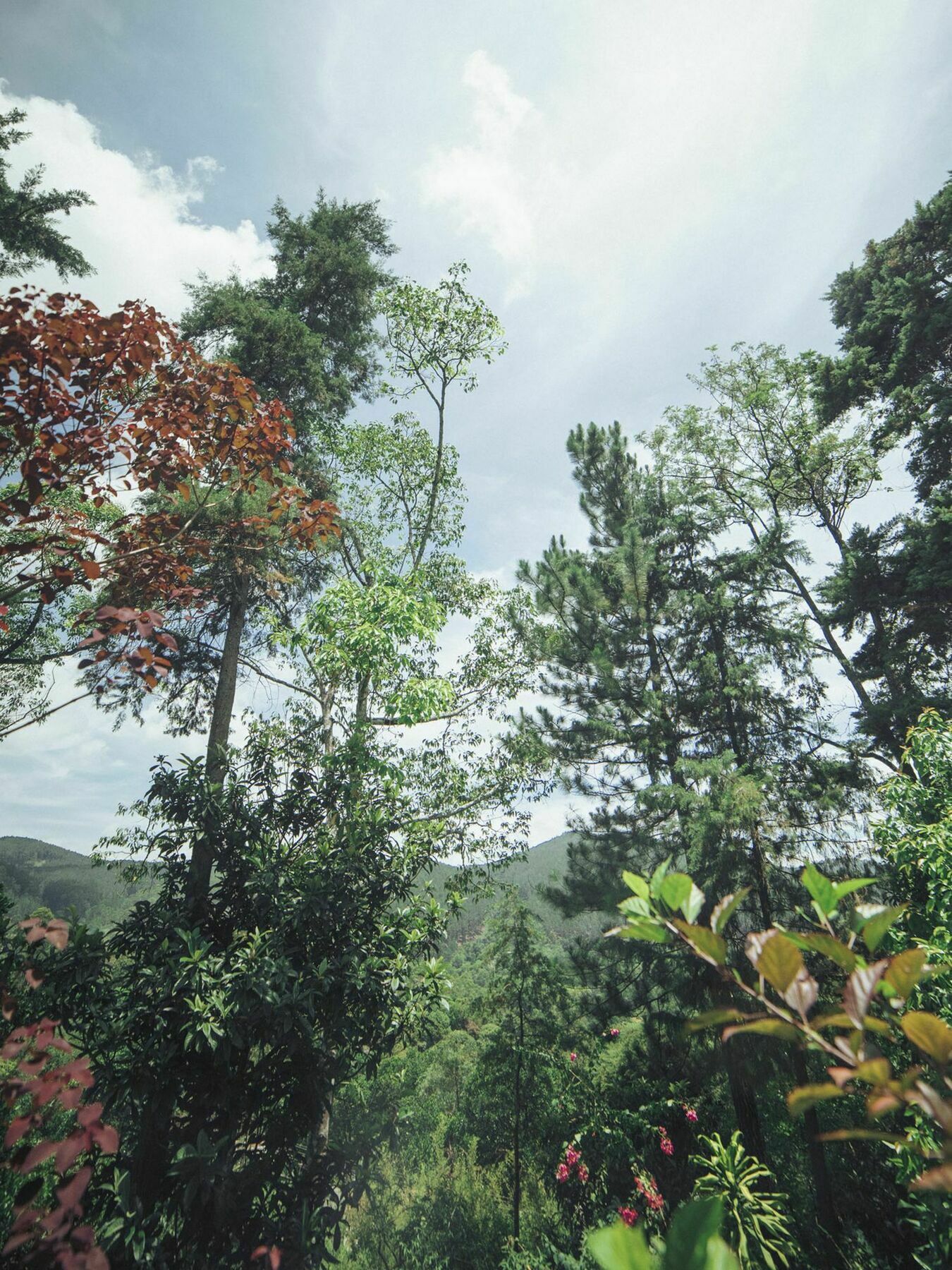 Villa Republic Bandarawela Dış mekan fotoğraf