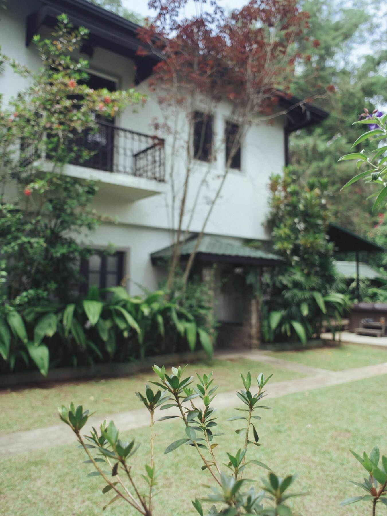 Villa Republic Bandarawela Dış mekan fotoğraf